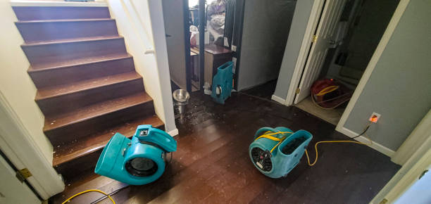 Best Basement water damage restoration  in Cool Valley, MO