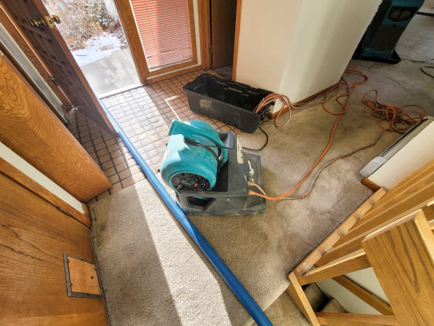 Best Water damage contractors near me  in Cool Valley, MO
