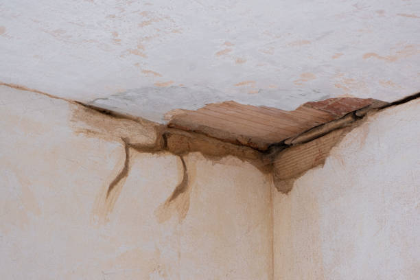 Best Sewage cleanup and water damage restoration  in Cool Valley, MO