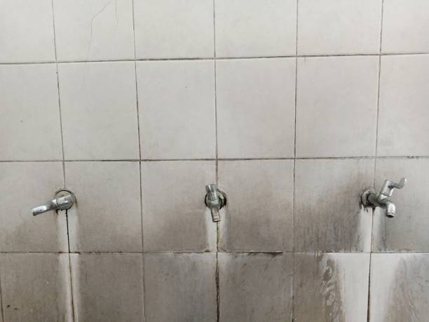 Reliable MO Water damage restoration Solutions