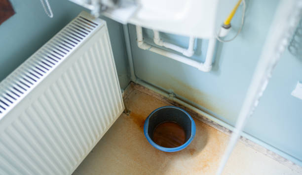 Best Professional water damage repair  in Cool Valley, MO
