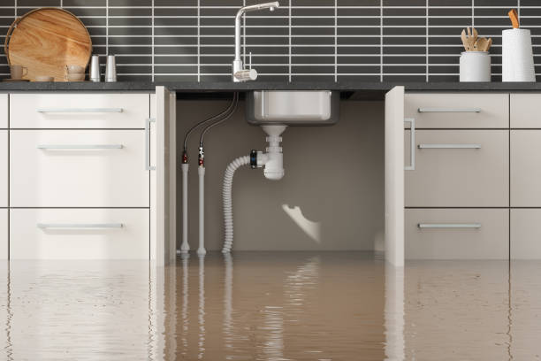 Best 24/7 water damage repair  in Cool Valley, MO