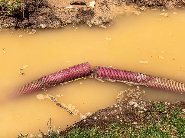 Best Sewage cleanup and water damage restoration  in Cool Valley, MO
