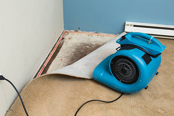Best Water damage cleanup near me  in Cool Valley, MO